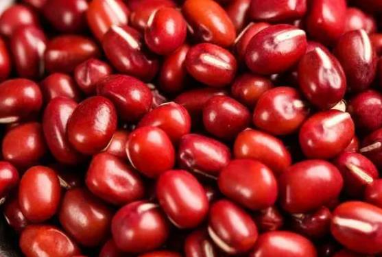 �a�D���ԳԼt���᣿�a�D�Լt�������̆᣿