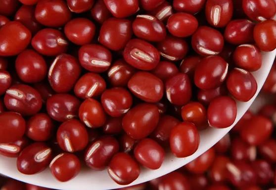 �t�����ǆ᣿���򲡿��ԳԼt���᣿