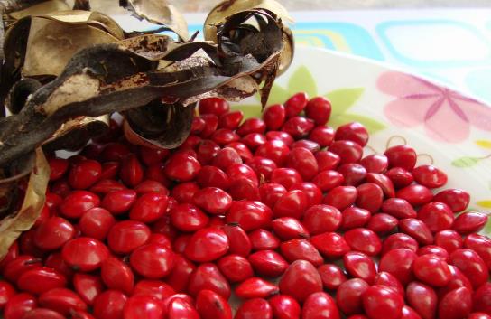 �t�����ǆ᣿���򲡿��ԳԼt���᣿