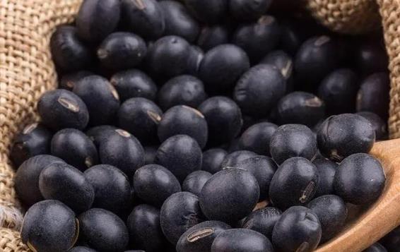 產(chǎn)婦可以吃黑豆嗎?產(chǎn)婦吃黑豆會回奶嗎? 產(chǎn)婦可以吃黑豆嗎?產(chǎn)婦吃黑豆會回奶嗎?