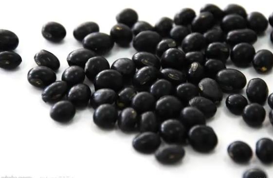 �ڶ����ǆ᣿���򲡻��߿��ԳԺڶ��᣿