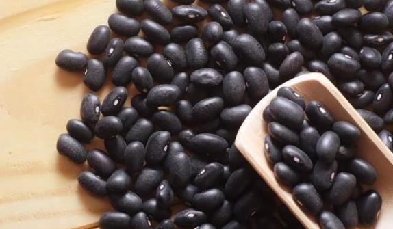 �Ժڶ����ϻ��᣿�ڶ���������Ԇ᣿