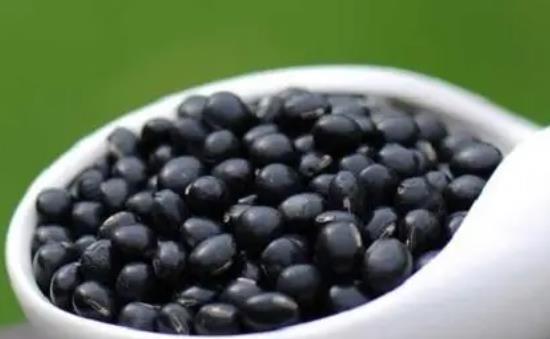 �Ժڶ���(hu��)����Û��᣿�ڶ����Դ�?ji��){�᣿