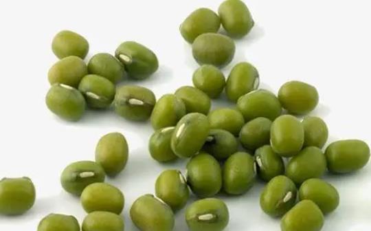 �ЋD���ԳԾG���᣿�ЋD�ԾG����Ҫע��ʲô��