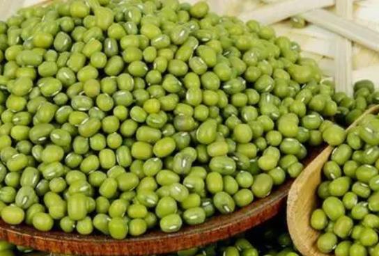 �ЋD���ԳԾG���᣿�ЋD�ԾG����Ҫע��ʲô��