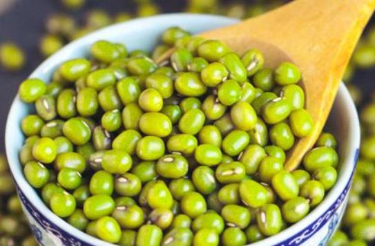 綠豆是發物嗎?吃綠豆回上火嗎? 綠豆是發物嗎?吃綠豆回上火嗎?