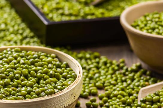 �ԾG����Û���?�ԾG�����Ծ�����؆᣿