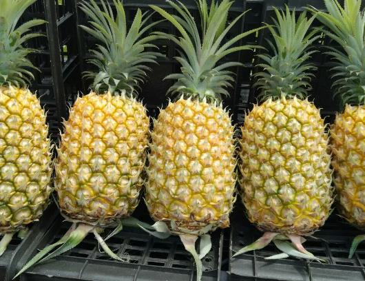 ���}���}ˮҪ���L�r�g���Բ��}��������ô�k