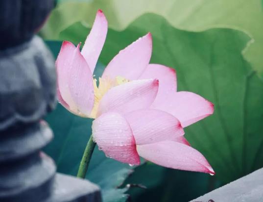 夏至過了天氣熱了還是冷了?夏至過后天亮的早還是晚 夏至過了天氣熱了還是冷了?夏至過后天亮的早還是晚