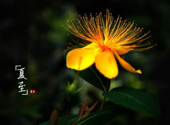 夏至過了天氣熱了還是冷了?夏至過后天亮的早還是晚 夏至過了天氣熱了還是冷了?夏至過后天亮的早還是晚