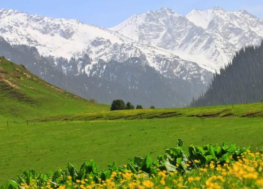 �½�6�µ����һ����ٶȣ�2023��6�·�ȥ�½����