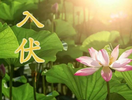 ��������ô�B(y��ng)�����������ʲô���^��