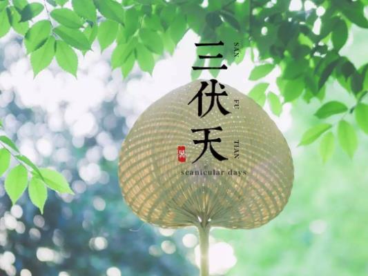 2023年三伏天是30天還是40天?2023年三伏天是哪幾天 2023年三伏天是30天還是40天?2023年三伏天是哪幾天