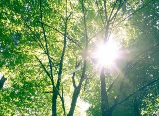 三伏天太熱怎么降溫?為什么三伏天有三個月 三伏天太熱怎么降溫?為什么三伏天有三個月