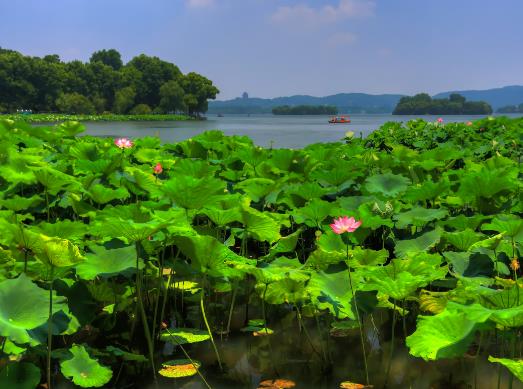 夏天天氣熱吃什么好?2023年夏天會有多熱 夏天天氣熱吃什么好?2023年夏天會有多熱