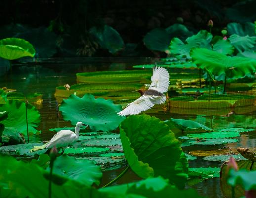 2023年夏天最高溫度有57度嗎?2023年夏天最熱多少度 2023年夏天最高溫度有57度嗎?2023年夏天最熱多少度