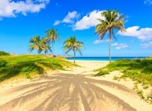 夏天很熱有什么解暑的好方法?2023年夏天最熱的是哪幾天 夏天很熱有什么解暑的好方法?2023年夏天最熱的是哪幾天