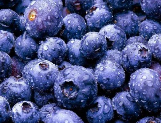 �{ݮ�ű�����Ҫ�w��������᣿�{ݮ�Ď׷N�Է�