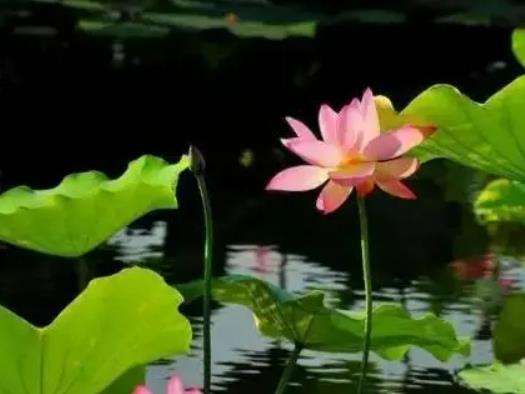 7�·���ߜض��ǎ׶���2023��7�·ݸߜ�����ж�����