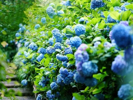 7�·ݳ�ȥ�洩ʲô�·����m��7�·ݵĽ�ˮ����s�Ƕ���