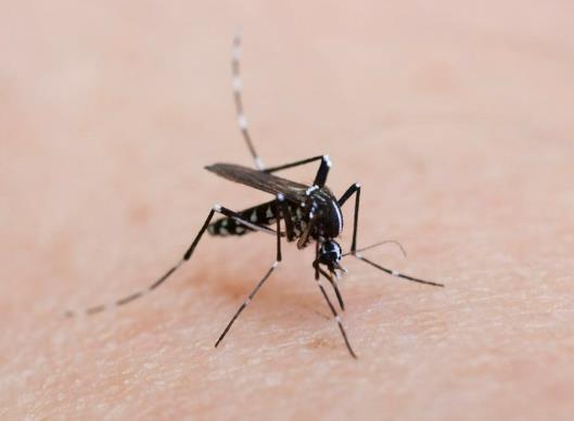 ��ô�ҵ���������ӸC�������M�ߌ��·��ܶ�������ô̎��