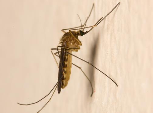 �҃�(n��i)��Μ���������Ч���ߌ��·��ܶ�����������