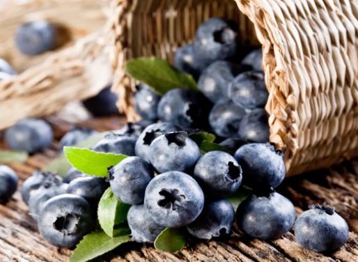 超市的盒裝藍莓可以直接吃嗎?哪些人不適合吃藍莓 超市的盒裝藍莓可以直接吃嗎?哪些人不適合吃藍莓