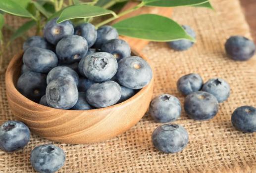 超市的盒裝藍莓可以直接吃嗎?哪些人不適合吃藍莓 超市的盒裝藍莓可以直接吃嗎?哪些人不適合吃藍莓