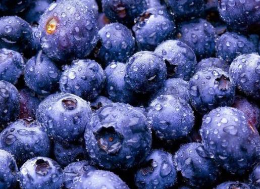 吃藍莓大便變黑還能繼續吃嗎?洗藍莓為什么有些浮起來 吃藍莓大便變黑還能繼續吃嗎?洗藍莓為什么有些浮起來