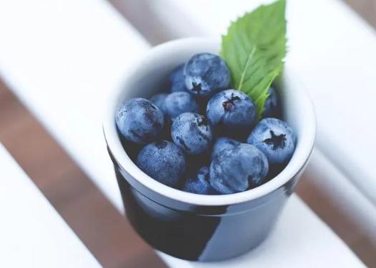 藍(lán)莓直接吃和榨汁吃哪個吸收好?藍(lán)莓直接吃還是榨汁對眼睛好 藍(lán)莓直接吃和榨汁吃哪個吸收好?藍(lán)莓直接吃還是榨汁對眼睛好
