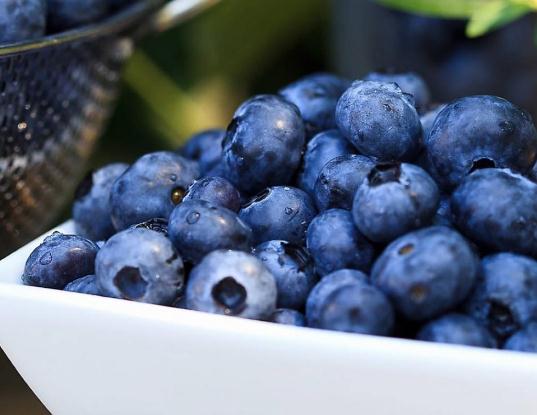 藍莓怎么吃對眼睛好?藍莓吃多了會怎樣 藍莓怎么吃對眼睛好?藍莓吃多了會怎樣