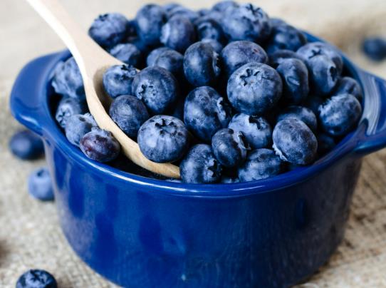 藍莓能用熱水洗嗎?買的新鮮藍莓怎么保存 藍莓能用熱水洗嗎?買的新鮮藍莓怎么保存