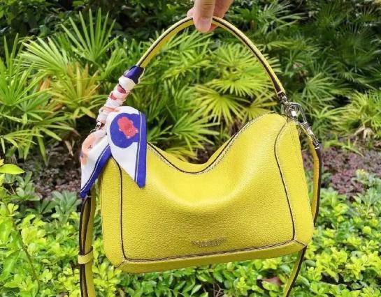 全球十大輕奢品牌排行榜,MichaelKors崇尚自我表達、Coach包包最出名 全球十大輕奢品牌排行榜,MichaelKors崇尚自我表達、Coach包包最出名