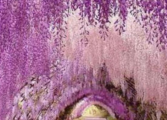 ,塞爾維亞羅賴馬山有著天堂瀑布 ,塞爾維亞羅賴馬山有著天堂瀑布