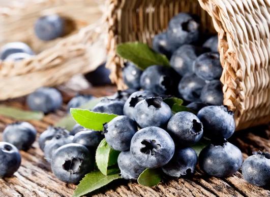 不小心吃了發霉的藍莓怎么補救?藍莓加牛奶為什么一會變成固體了 不小心吃了發霉的藍莓怎么補救?藍莓加牛奶為什么一會變成固體了