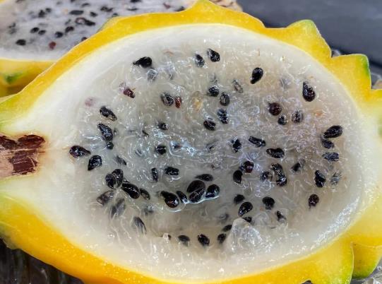 ��C���ܲ��ܷű��䱣������C�������̹���