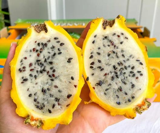 ��C���ܲ��ܷű��䱣������C�������̹���