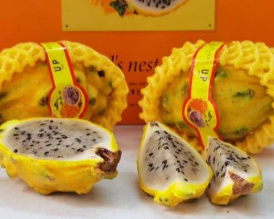 ��C�����Էű����ã���C��ʲôζ��