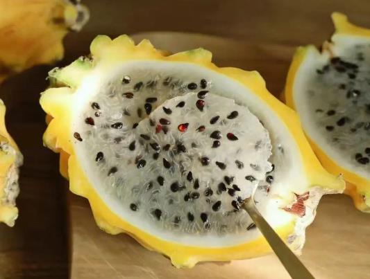 ��C���ǻ�������һ�N�᣿��C����ô��