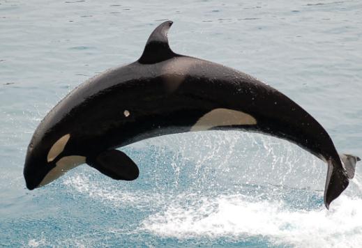 ���L15�q������ļٵģ��������Ĵ��^(gu��)���L��