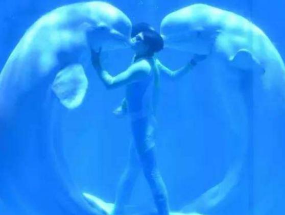 哈爾濱必游景點排名,哈爾濱中央大街有百年歷史、哈爾濱極地館很壯觀 哈爾濱必游景點排名,哈爾濱中央大街有百年歷史、哈爾濱極地館很壯觀