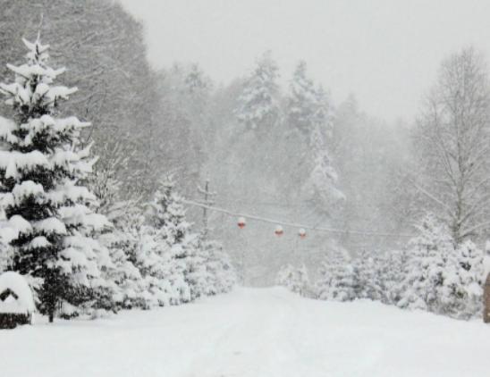 哈爾濱必游景點排名,哈爾濱中央大街有百年歷史、哈爾濱極地館很壯觀 哈爾濱必游景點排名,哈爾濱中央大街有百年歷史、哈爾濱極地館很壯觀