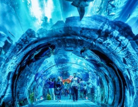 全球十大海洋館排名,亞特蘭大Georgia Aquarium和諾亞方舟非常相似 全球十大海洋館排名,亞特蘭大Georgia Aquarium和諾亞方舟非常相似