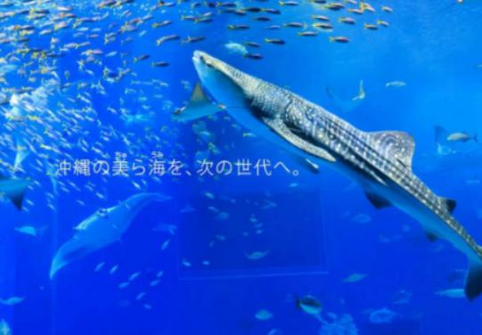 全球十大海洋館排名,亞特蘭大Georgia Aquarium和諾亞方舟非常相似 全球十大海洋館排名,亞特蘭大Georgia Aquarium和諾亞方舟非常相似