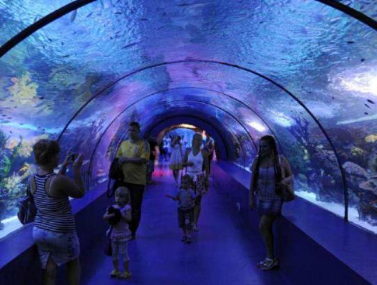 全球十大海洋館排名,亞特蘭大Georgia Aquarium和諾亞方舟非常相似 全球十大海洋館排名,亞特蘭大Georgia Aquarium和諾亞方舟非常相似