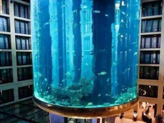 全球十大海洋館排名,亞特蘭大Georgia Aquarium和諾亞方舟非常相似 全球十大海洋館排名,亞特蘭大Georgia Aquarium和諾亞方舟非常相似