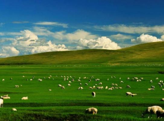 內蒙古十大必去景點,響沙灣沙漠美景吸引人、月亮湖湖水清澈見底 內蒙古十大必去景點,響沙灣沙漠美景吸引人、月亮湖湖水清澈見底