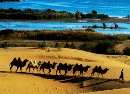 內蒙古十大必去景點,響沙灣沙漠美景吸引人、月亮湖湖水清澈見底 內蒙古十大必去景點,響沙灣沙漠美景吸引人、月亮湖湖水清澈見底