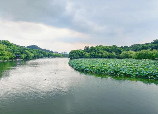 2023新一線城市商業魅力排行榜,成都令人向往、重慶火鍋最出名 2023新一線城市商業魅力排行榜,成都令人向往、重慶火鍋最出名