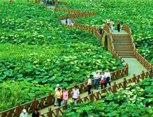 蘇州十大公園排行榜,漕湖濕地公園環境好、東太湖生態園風景美 蘇州十大公園排行榜,漕湖濕地公園環境好、東太湖生態園風景美